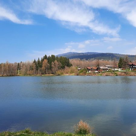 Fewo Bayerischer Wald Im Lamer Winkel Аррах Екстер'єр фото